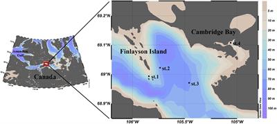 Vertical distributions of organic matter components in sea ice near Cambridge Bay, Dease Strait, Canadian Archipelago